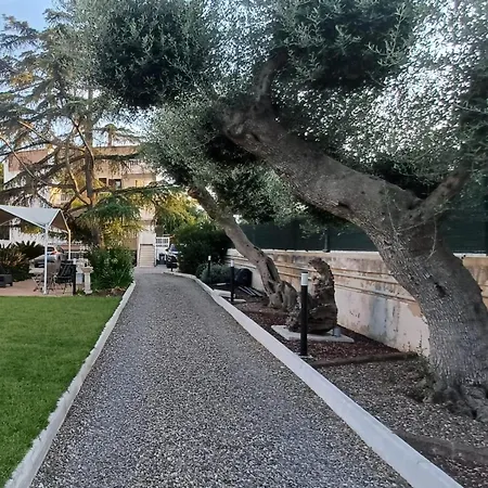 La Maison Du Coeur * バーリ